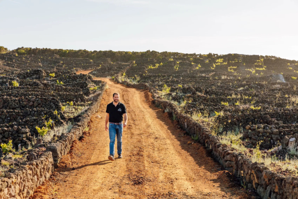 Atlantic Wines blog - Antonio Macanita v azorskych vinicich Azores Wine Company